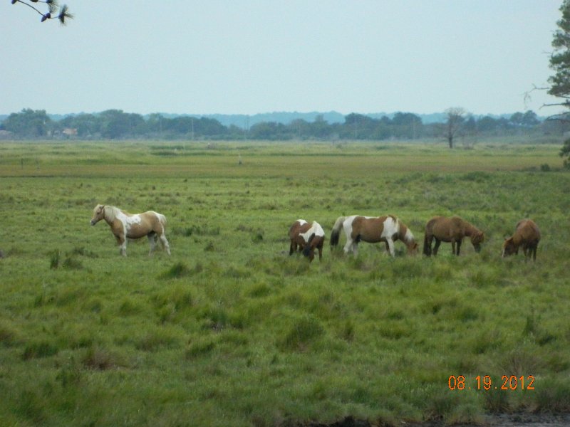 DSCN2527.JPG