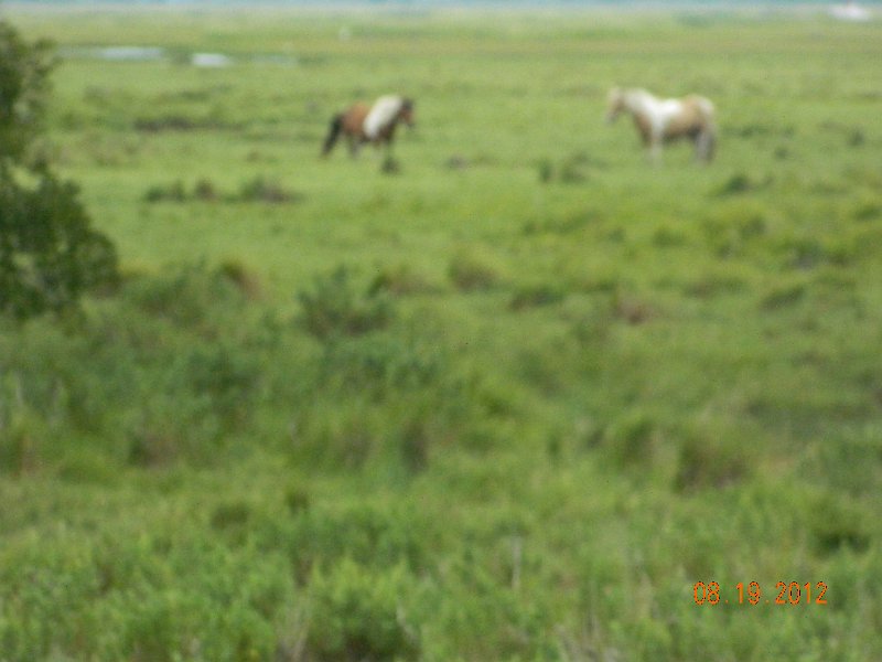 DSCN2528.JPG