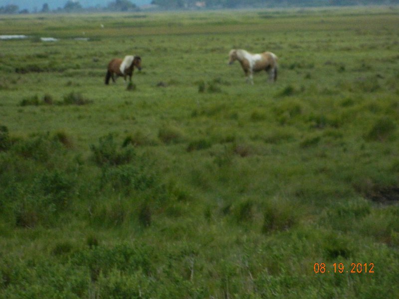 DSCN2529.JPG