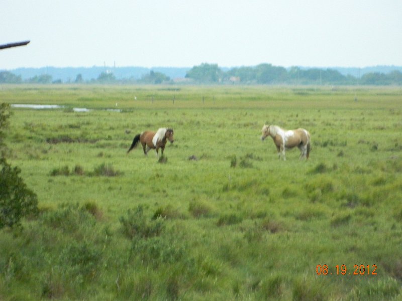 DSCN2530.JPG