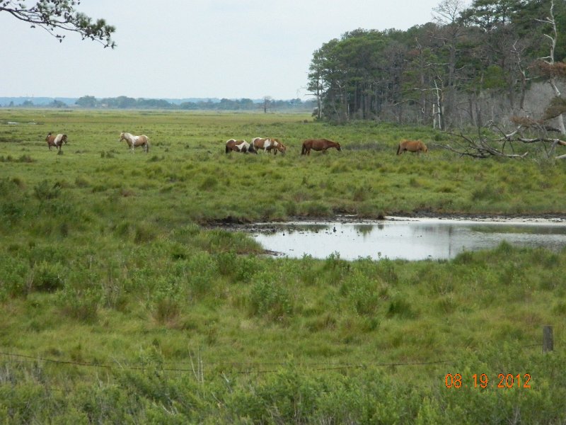 DSCN2531.JPG