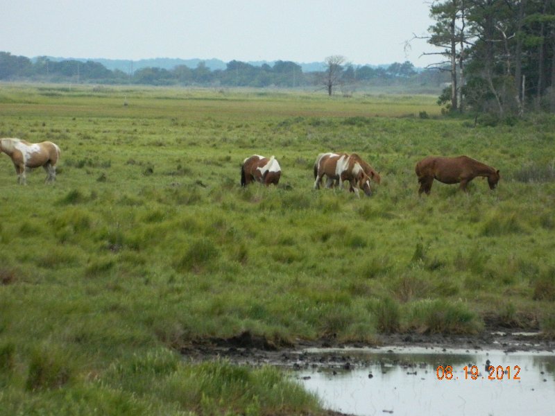 DSCN2532.JPG