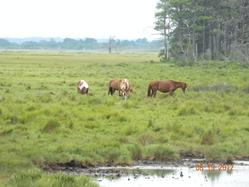 DSCN2533.JPG