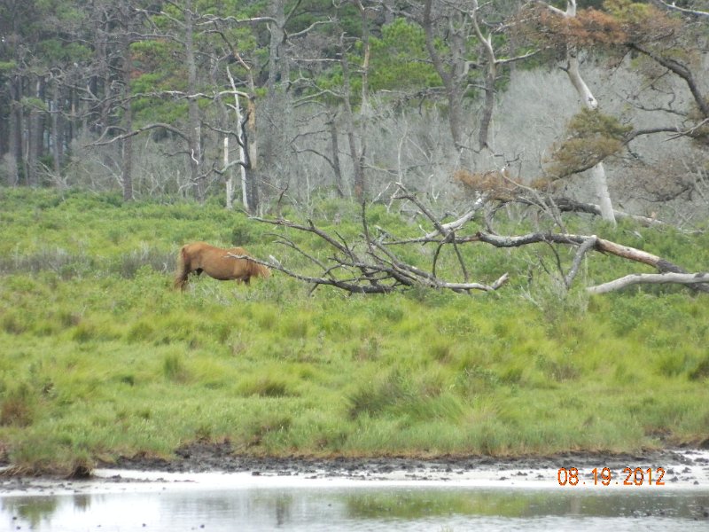 DSCN2534.JPG
