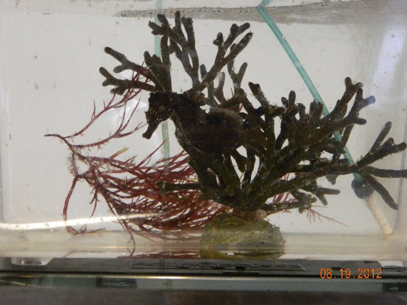 DSCN2537.JPG