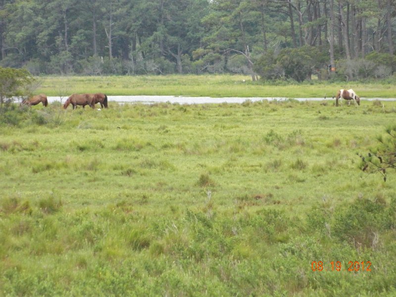 DSCN2538.JPG