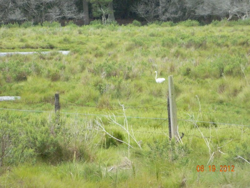 DSCN2539.JPG