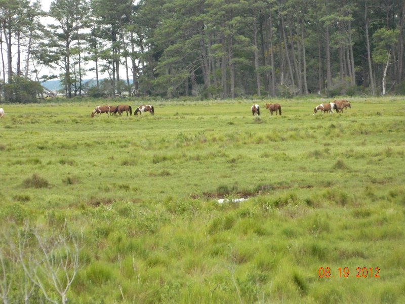 DSCN2543.JPG