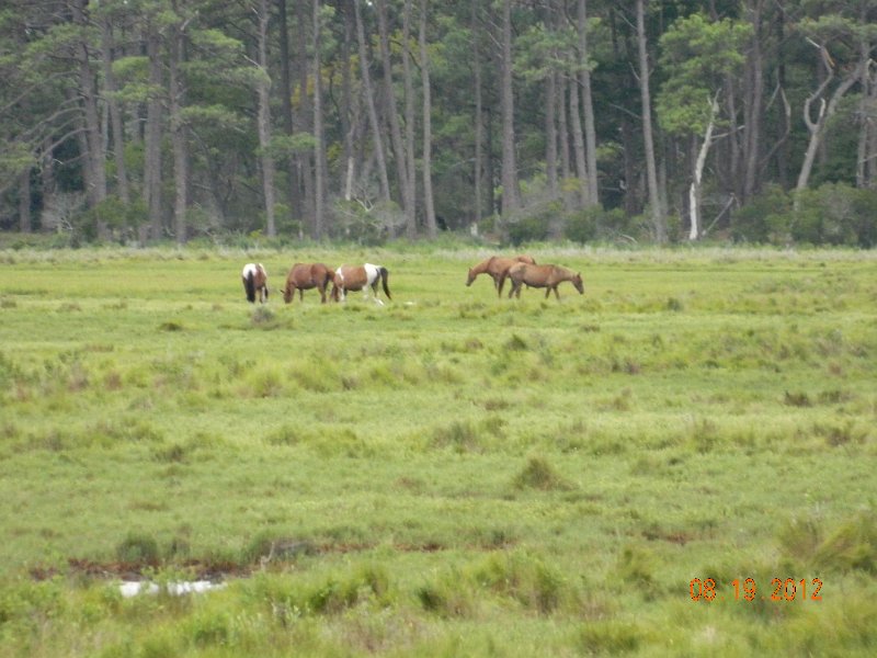 DSCN2545.JPG