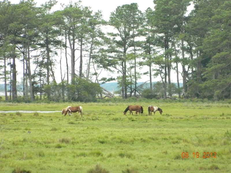 DSCN2546.JPG