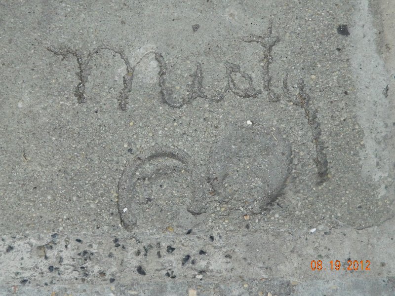 DSCN2562.JPG
