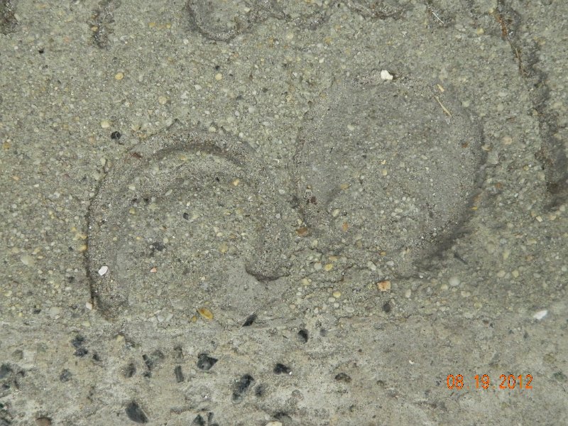DSCN2563.JPG