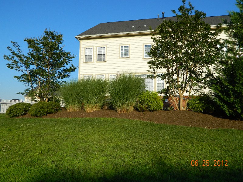 11b.JPG