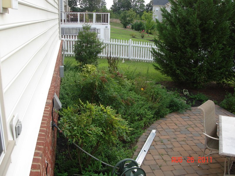 6a.JPG - Backyard