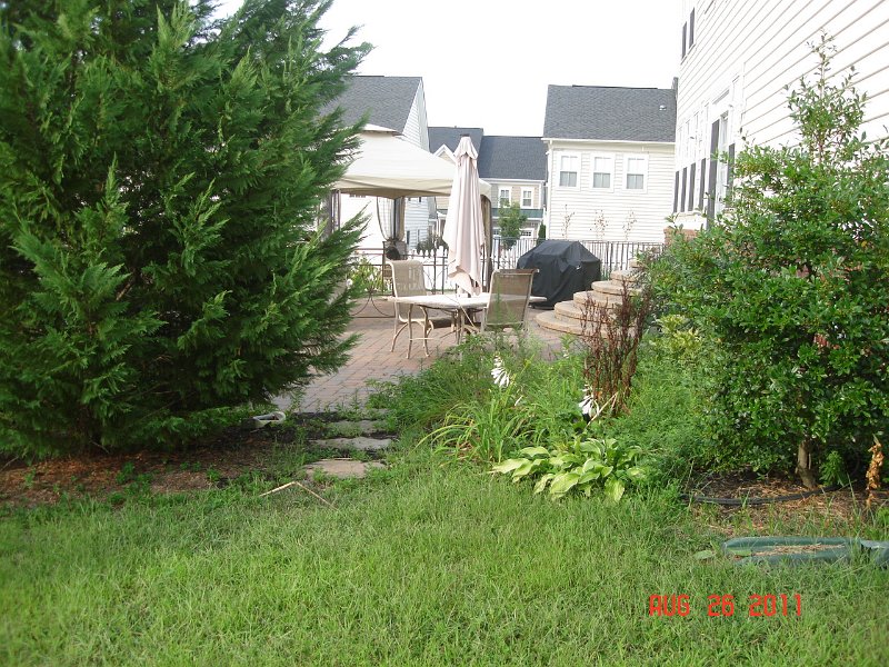 6ac.JPG - Backyard