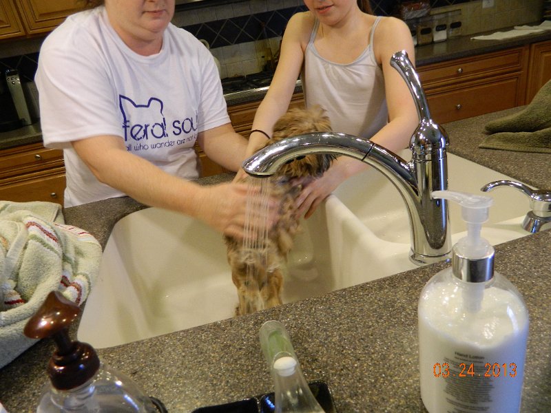 DSCN2871.JPG