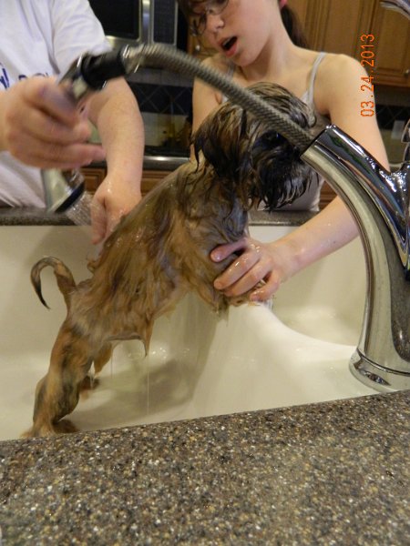 DSCN2885.JPG