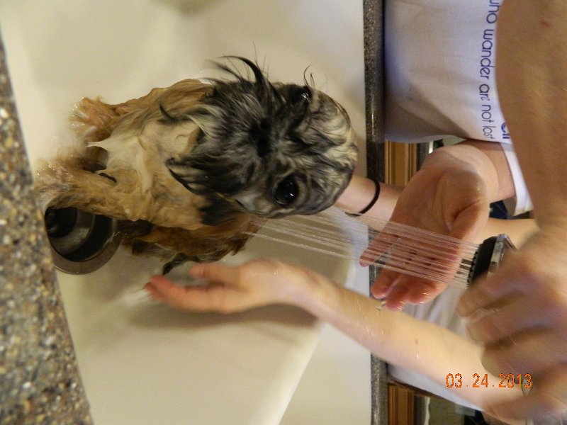 DSCN2894.JPG