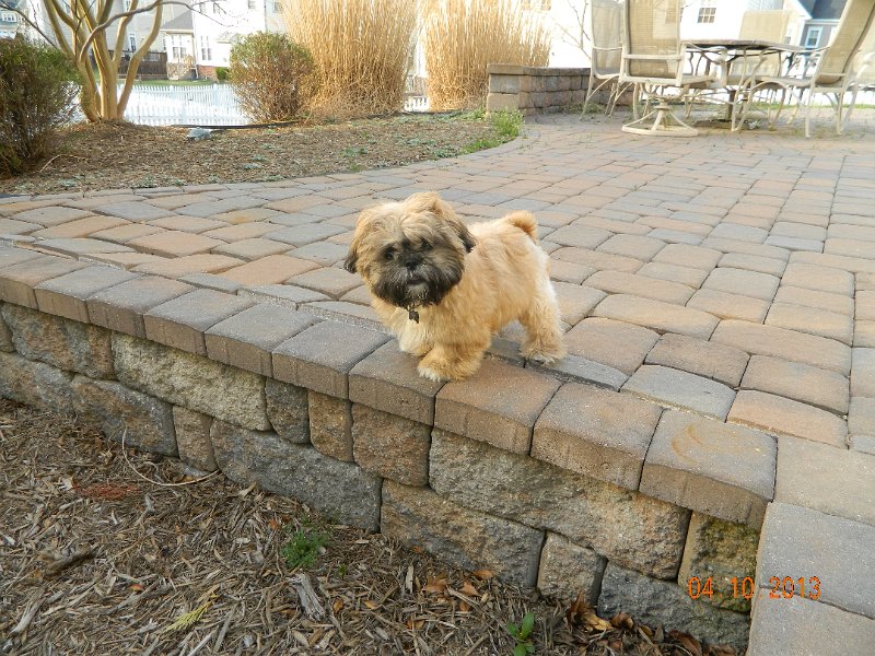 DSCN2910.JPG