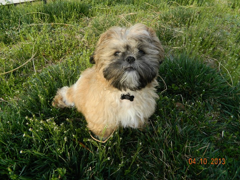 DSCN2919.JPG
