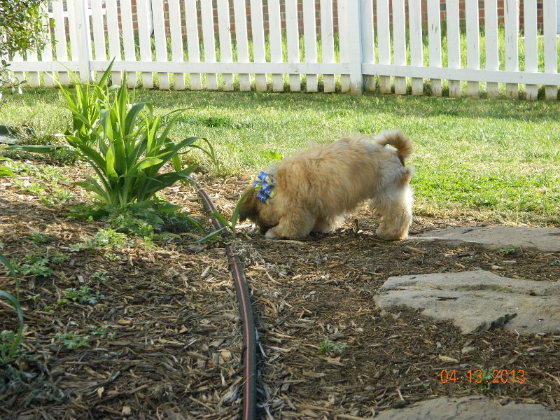 DSCN2931.JPG