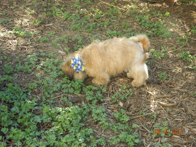 DSCN2933.JPG