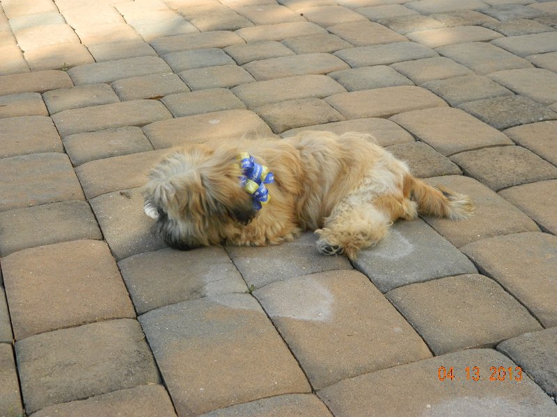 DSCN2936.JPG