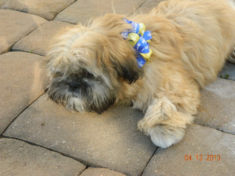 DSCN2938.JPG