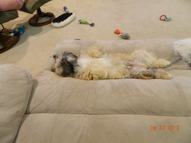 DSCN2976.JPG