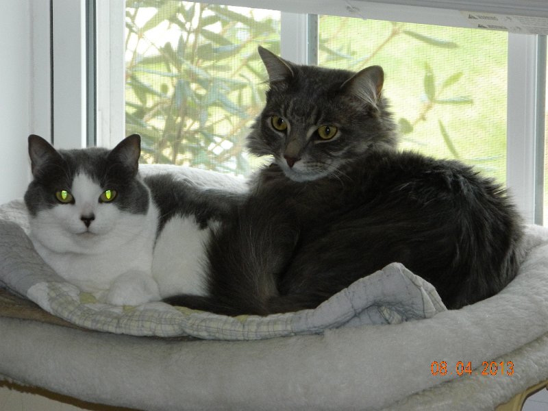 DSCN3052.JPG