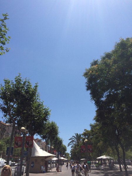 barcelona_0477.JPG